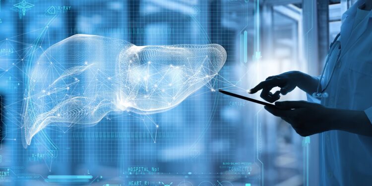 Research links pomegranate extract with improved liver health