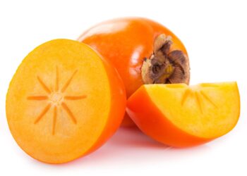 New persimmon extract for weight management