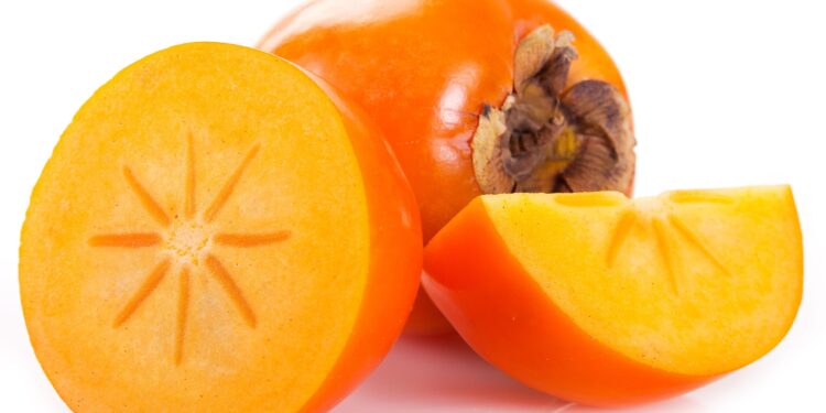 New persimmon extract for weight management