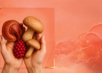 Kolajenin yeni nesil gücü