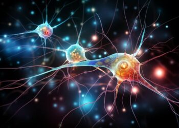 Beyin sinyallerinden kişiselleştirilmiş eğitime