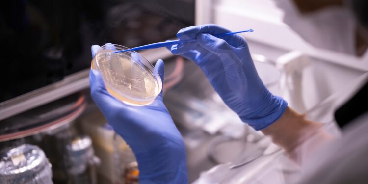 Nuvita İlaç, Ar-Ge yatırımlarıyla Türkiye’nin ilk 250 şirketi arasında